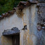 wall-and-roof